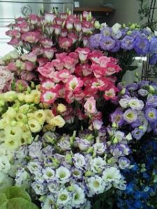 本日のおすすめ 花屋ブログ 茨城県下妻市の花屋 カドナチュールはなかどにフラワーギフトはお任せください 当店は 安心と信頼の花キューピット加盟店です 花キューピットタウン