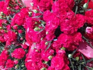 5月10日は母の日！｜「カドナチュールはなかど」　（茨城県下妻市の花キューピット加盟店 花屋）のブログ