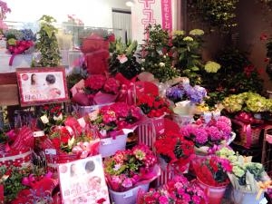 5月8日は母の日｜「カドナチュールはなかど」　（茨城県下妻市の花キューピット加盟店 花屋）のブログ