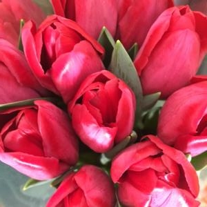 春を先取り｜「カドナチュールはなかど」　（茨城県下妻市の花キューピット加盟店 花屋）のブログ