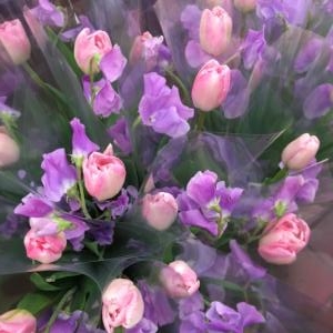 今日は｜「カドナチュールはなかど」　（茨城県下妻市の花キューピット加盟店 花屋）のブログ