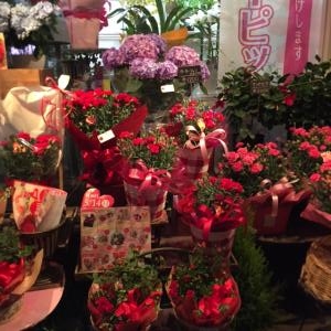 母の日｜「カドナチュールはなかど」　（茨城県下妻市の花キューピット加盟店 花屋）のブログ