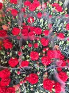 5月１３日は母の日｜「カドナチュールはなかど」　（茨城県下妻市の花キューピット加盟店 花屋）のブログ