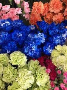 入荷中～｜「カドナチュールはなかど」　（茨城県下妻市の花キューピット加盟店 花屋）のブログ